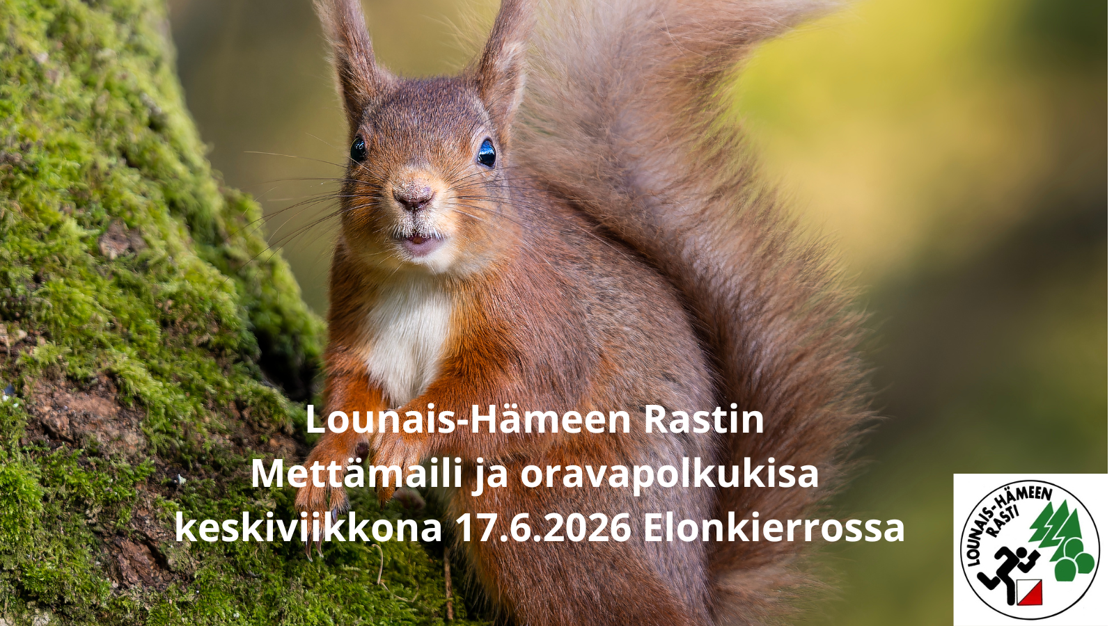 Mettämaili ja SOK ke 17.6. Elonkierrossa