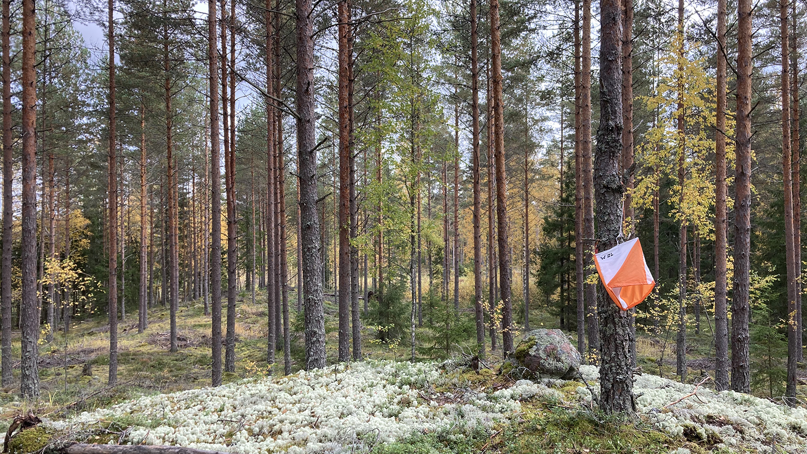Omatoimirasteja Jokioisilla ja Tammelasa